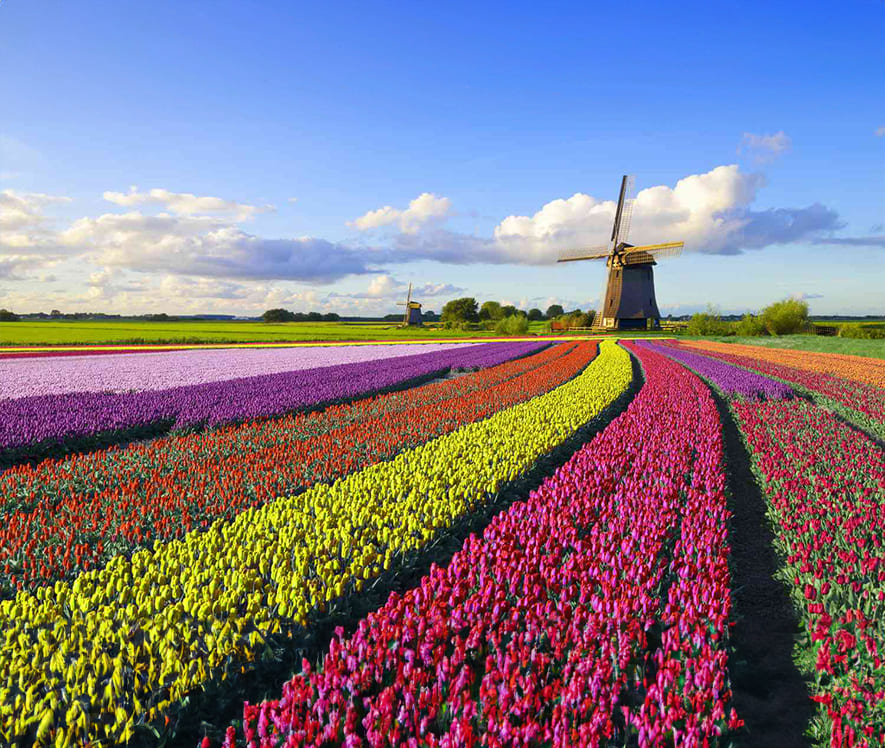 Netherlands The